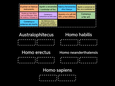 Homínids valencià (A)