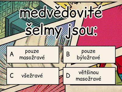 Šelmy medvědovité (Veronika Stejskalová)