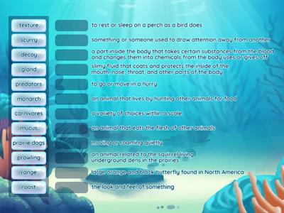 U4L2 Defense Academy