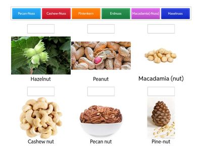 Hartschalenobst /Shell fruits Deutsch/Englisch