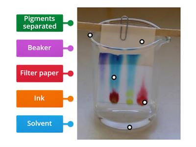 Yr9 Chromatography