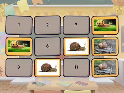 Kus on teine tigu? (Need on samasugused!)