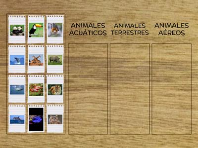 CLASIFICACION DE LOS ANIMALES