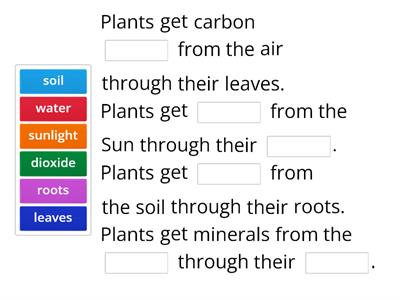 The Photosynthesis. Natural 3rd Grade