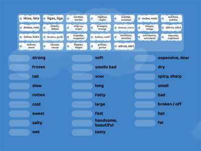 Lithuanian adjectives