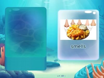 5G AR2VR: Fish and Chips Session 1 (October 31, 2025)