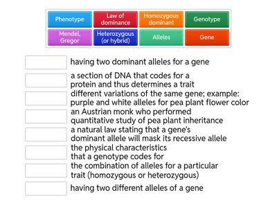 Mendelian Genetics and Inheritance F2025