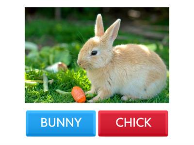 Easter