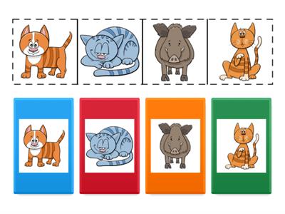 Що зайве? Увага, розвиток мовлення