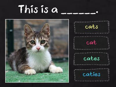 Singular and Plural Nouns