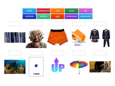 Letter Uu vocabulary