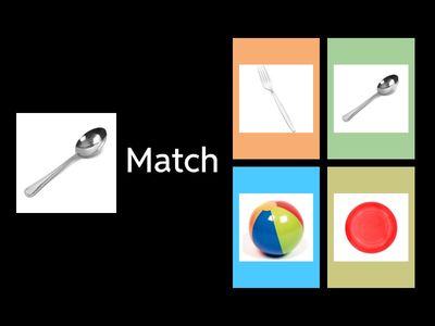 Matching Common Objects