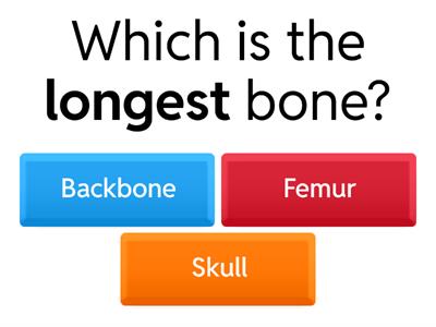 Skeletal and muscular system
