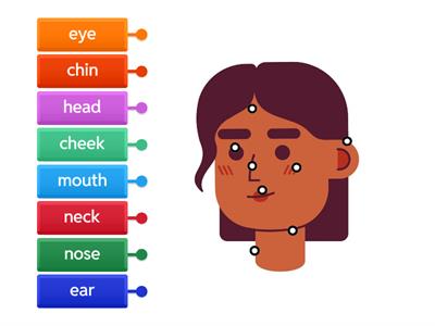 Parts of the body (face)