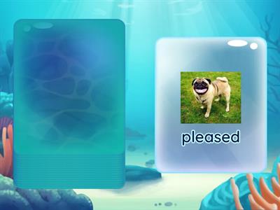  Pre-Intermediate 2 Emotions