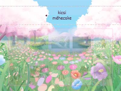 Cs hang automatizálás szókapcsolatokban