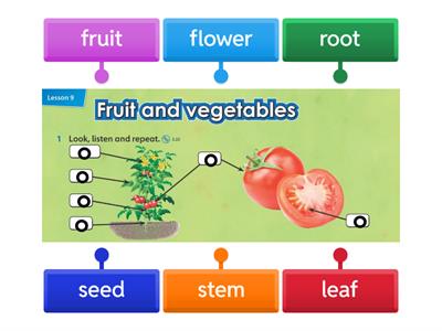 IE3 Unit 5 Fruit and vegetables