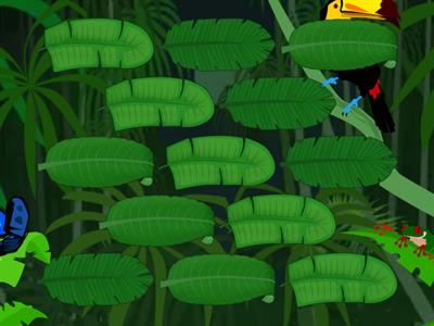 Деление с остатком