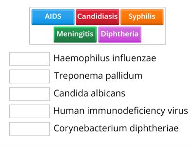 Causative Agents - Test 4 