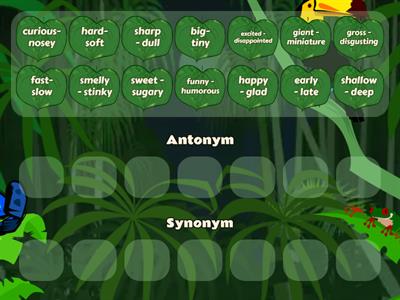 Antonym/Synonym SORT