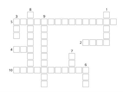 The nervous system crossword