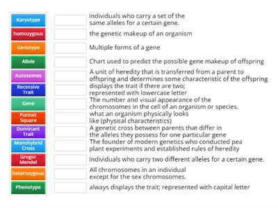 Wordwall genetics 1 Match