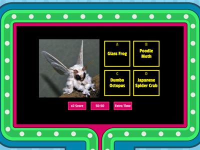 Gameshow Quiz Strange Creatures #1