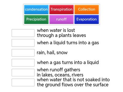 the water cycle