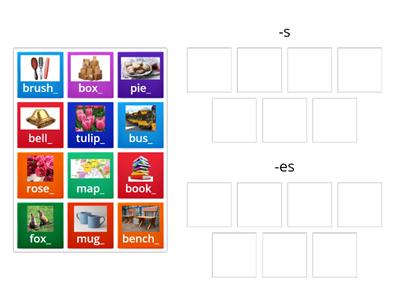 plural nouns (-s, -es)