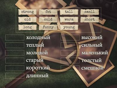 4 класс прилагательные