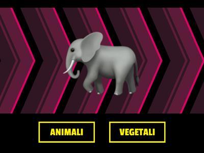 Animali e vegetali