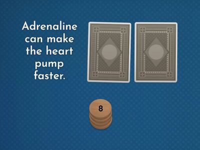 Human Anatomy: Cardiovascular System