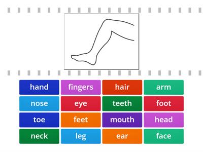 Hot Spot 1. Lesson 21 - Parts of the body