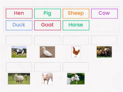 Farm animals 