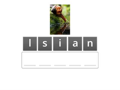 First 5 digraphs (anagram)