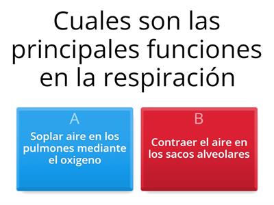 sistema respiratorio 