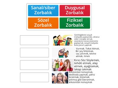 Zorbalık Türleri Eşleştirme