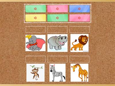 Animals