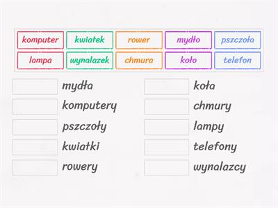 Połącz w pary rzeczowniki w liczbie mnogiej z rzeczownikami w liczbie pojedynczej