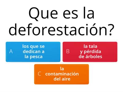 Deforestación 