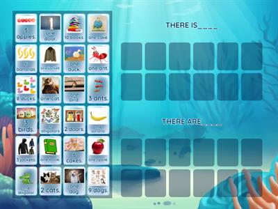 There is / There are