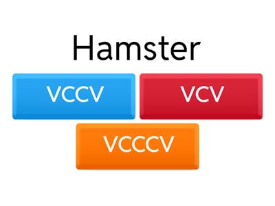 VCV,VCCV,VCCCV Quiz