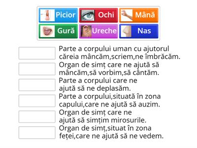 DȘ,„Ce este și la ce folosește”,Joc didactic on line