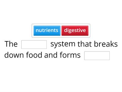 Digestion & Excretion Warm-UP