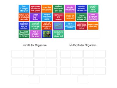  Unicellular vs. Multicellular Organisms