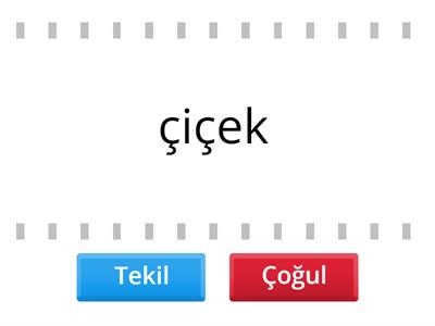 Tekil ve Çoğul Adlar