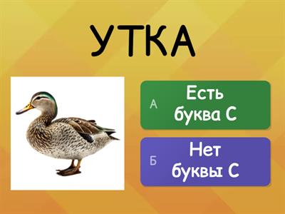  Буква С.Развитие фонематического слуха и внимания