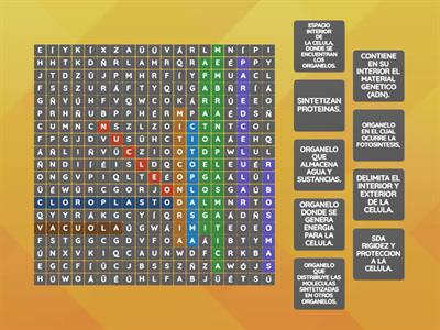 LA CELULA " COMPONENTES "