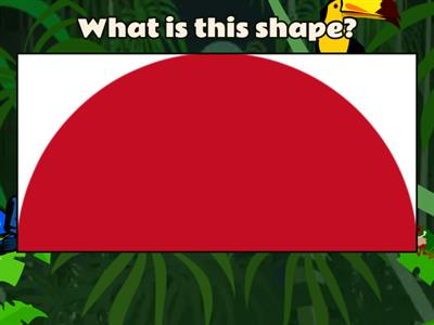 What is this shape?