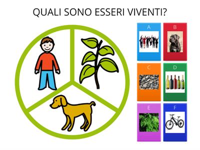 ESSERI VIVENTI E NON VIVENTI